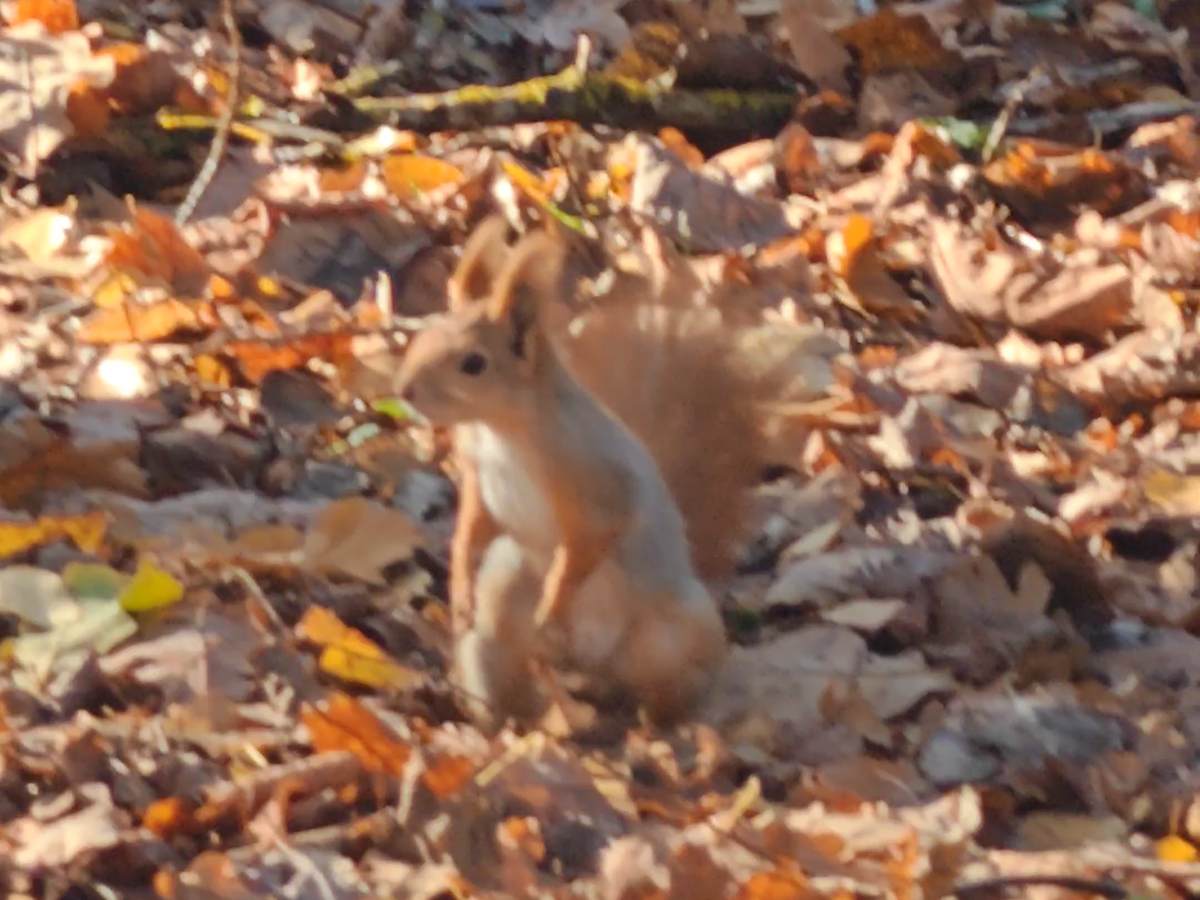 Фото автора канала.