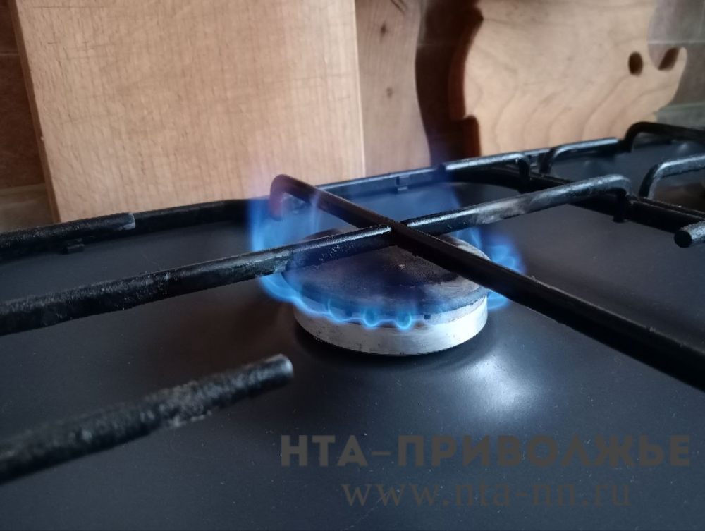    Выдающие себя за Горгаз мошенники активизировались в Нижнем Новгороде