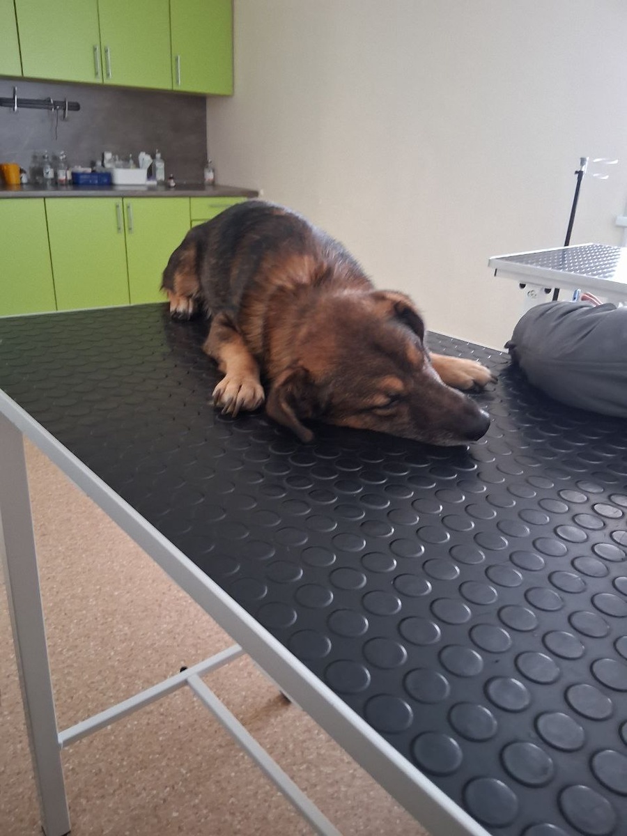 Беню готовят к операции