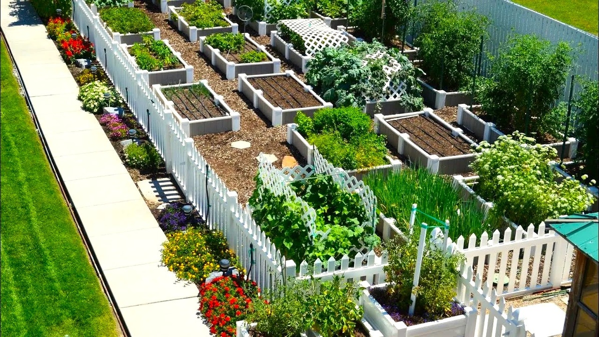 Дизайн огорода: как сделать грядки красивыми и функциональными