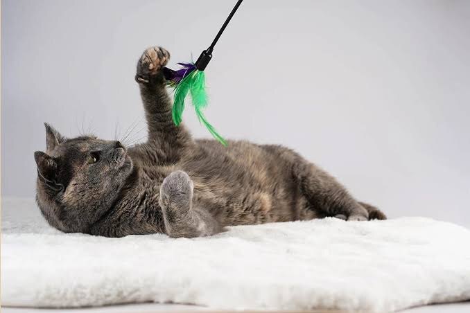 Фото из Интернета. 