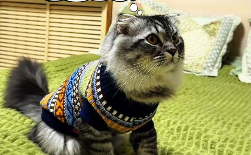Комиксы