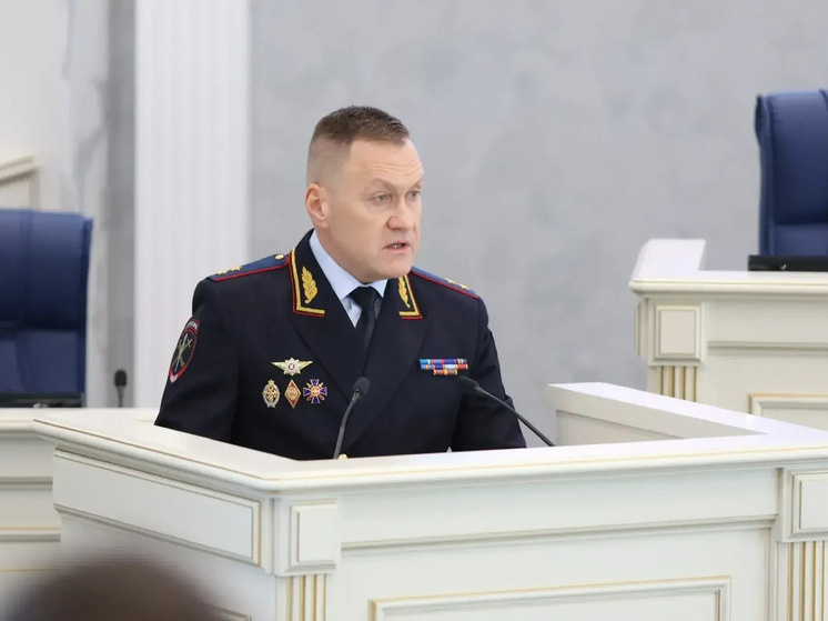     Фото: пресс-служба правительства Ленобласти.