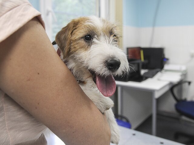    Фото: портал мэра и правительства Москвы