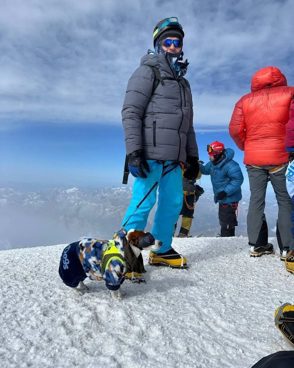    Майло отлично перенес 12-часовой поход на Эльбрус. Тут не все люди-то справляются... Фото: предоставлено "КП"