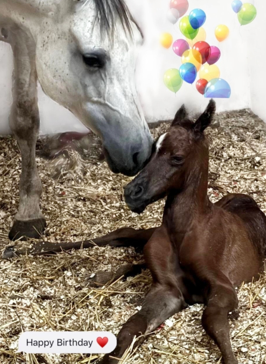 Награда Голд и ее малыш Нэнсон.