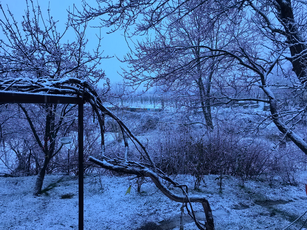 Раннее утро