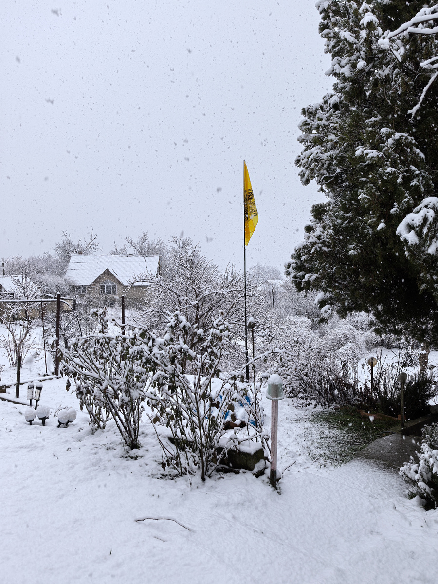 Не раннее утро