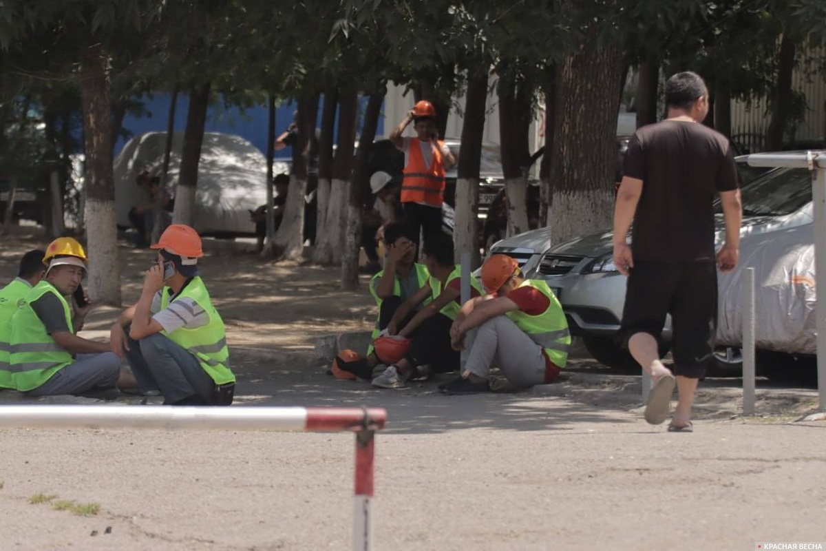     Трудовые мигранты   
Александр Валиев (с) ИА Красная Весна