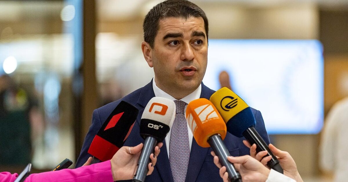    «Я не первый». Спикер парламента Грузии Папуашвили повторно обвинил Зеленского в неблагодарности