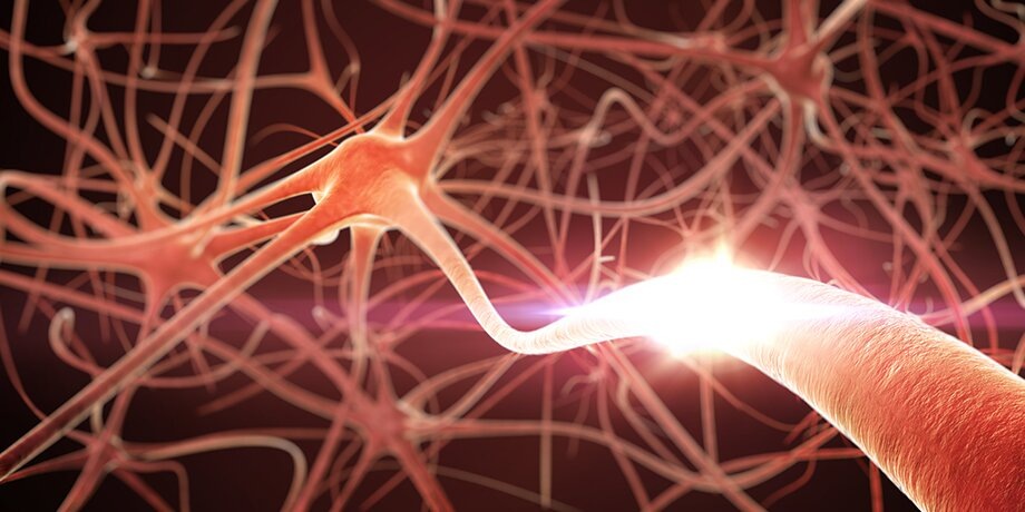    Фото: depositphotos/klss777