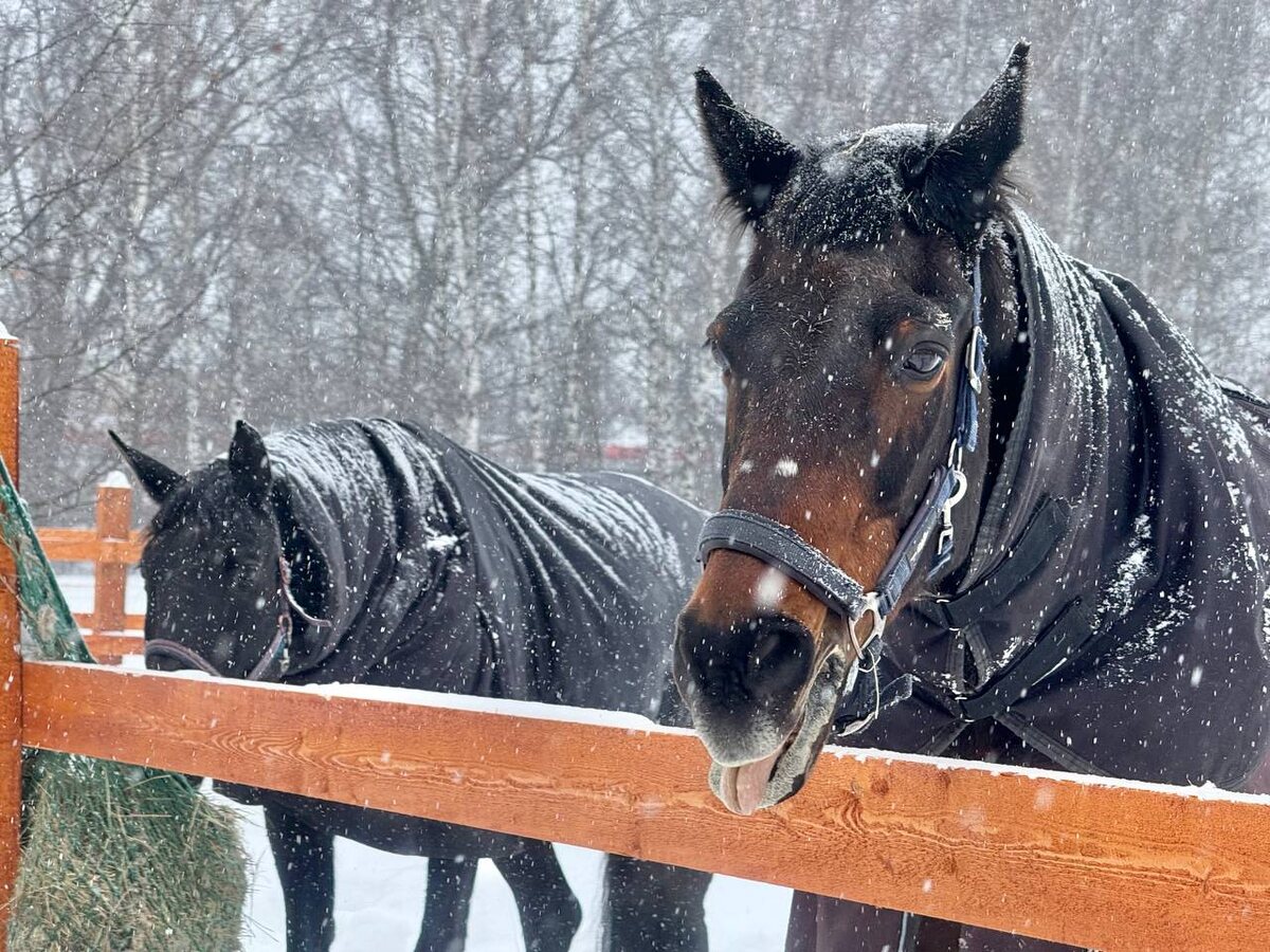 Музей-усадьба Горенки