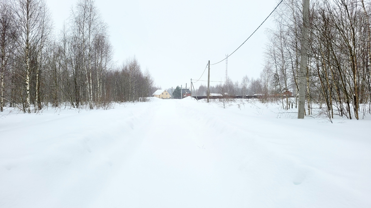 На прогулке.