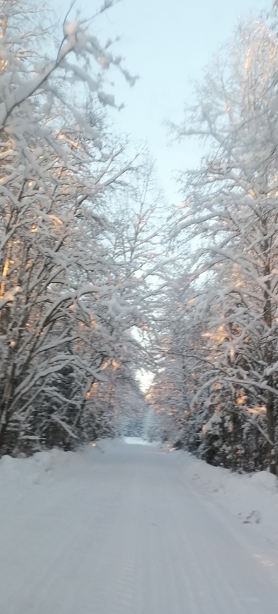 А у нас красота снежная, тишь и благодать!)