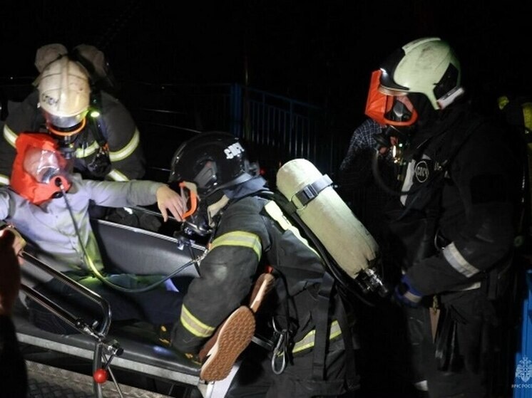     Фото: пресс-служба ГУ МЧС по Воронежской области