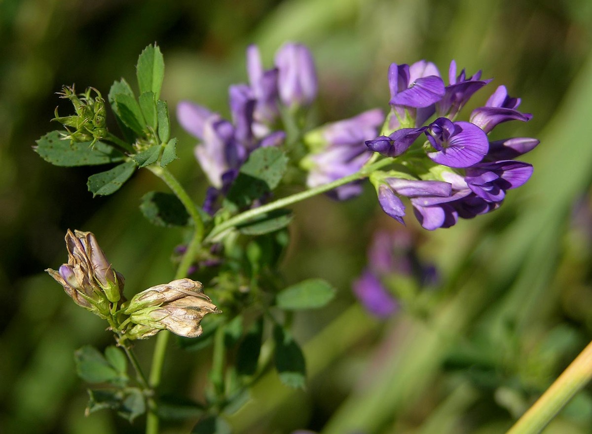 Источник фото: nic.funet.fi