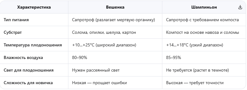 Ключевые особенности вешенки и шампиньона