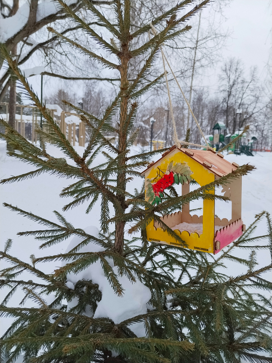 Собственно наша кормушка