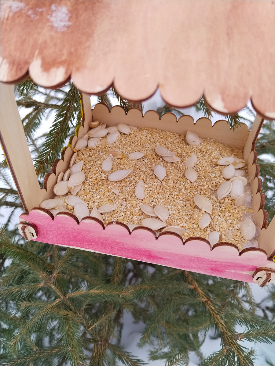 Насыпали птичкам вкусняшек
