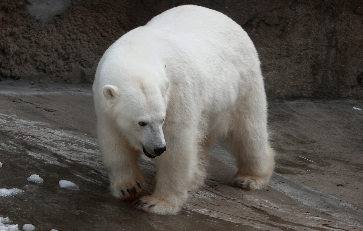 Сергей Фадеичев/ТАСС