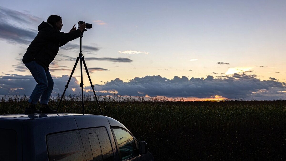    Можно ли будет увидеть в Ростове   pvproductions/freepik