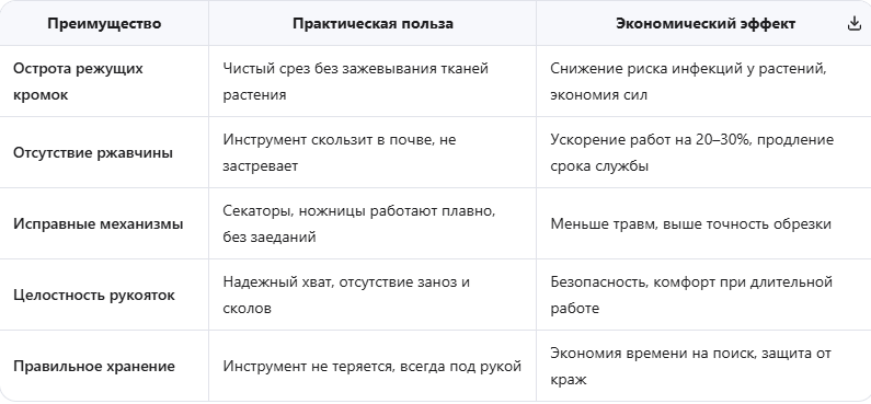Преимущества грамотной подготовки инвентаря