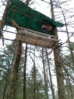 Яндекс картинки.