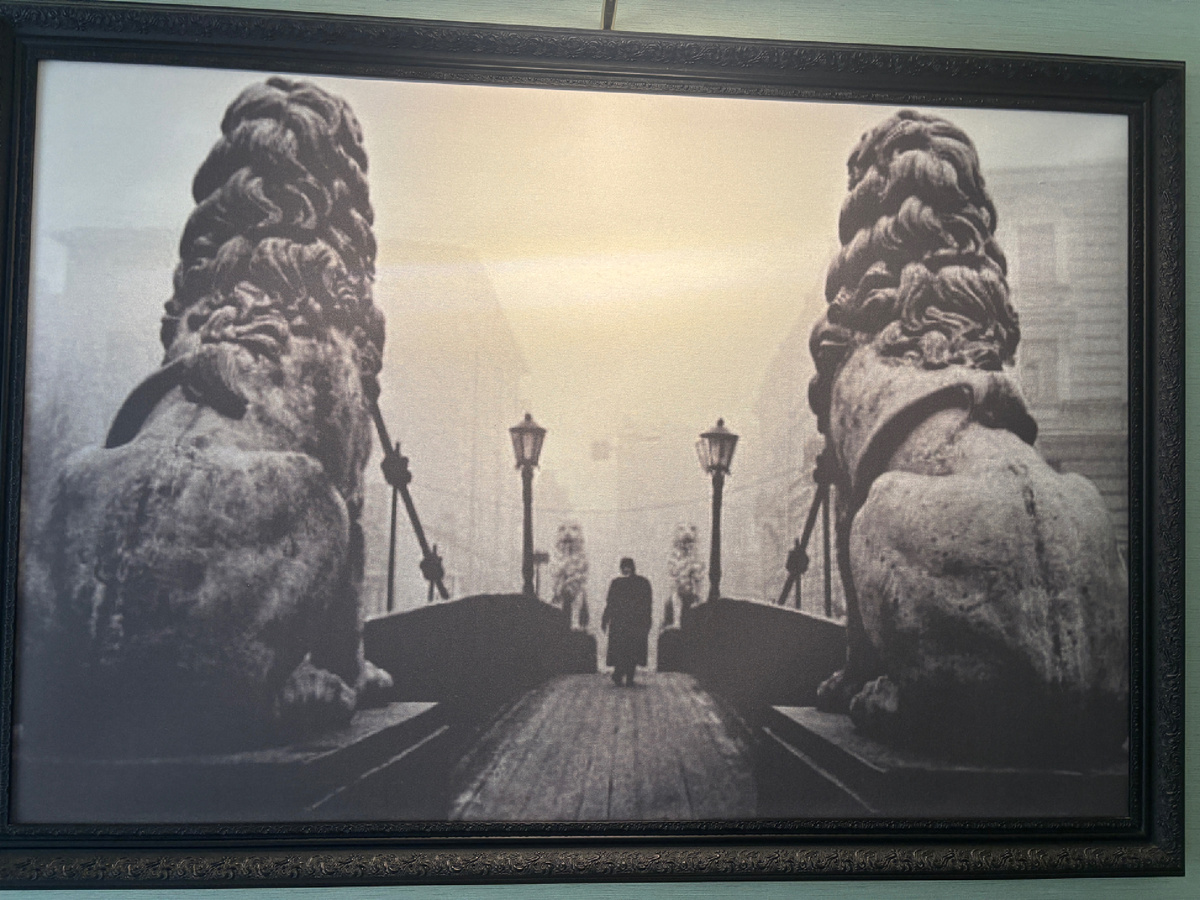 Фото автора. Для меня Петербург всегда был очень сильно завязан на творчестве Достоевского. Даже вот в этой фотографии из нашего номера в отеле для меня зашифровано то настроение, которое создается произведениями Федора Михайловича 