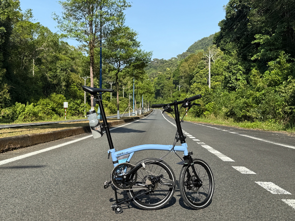 Вдалеке сзади уже сигналит мотороллер.