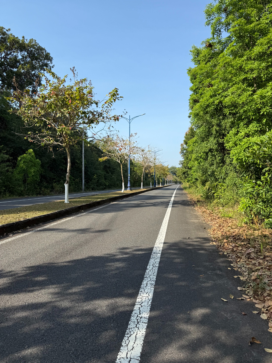 Шоссе через национальный парк