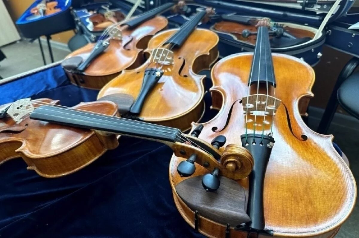    Восемь волгоградских школ искусств получат новые музинструменты в 2026 году