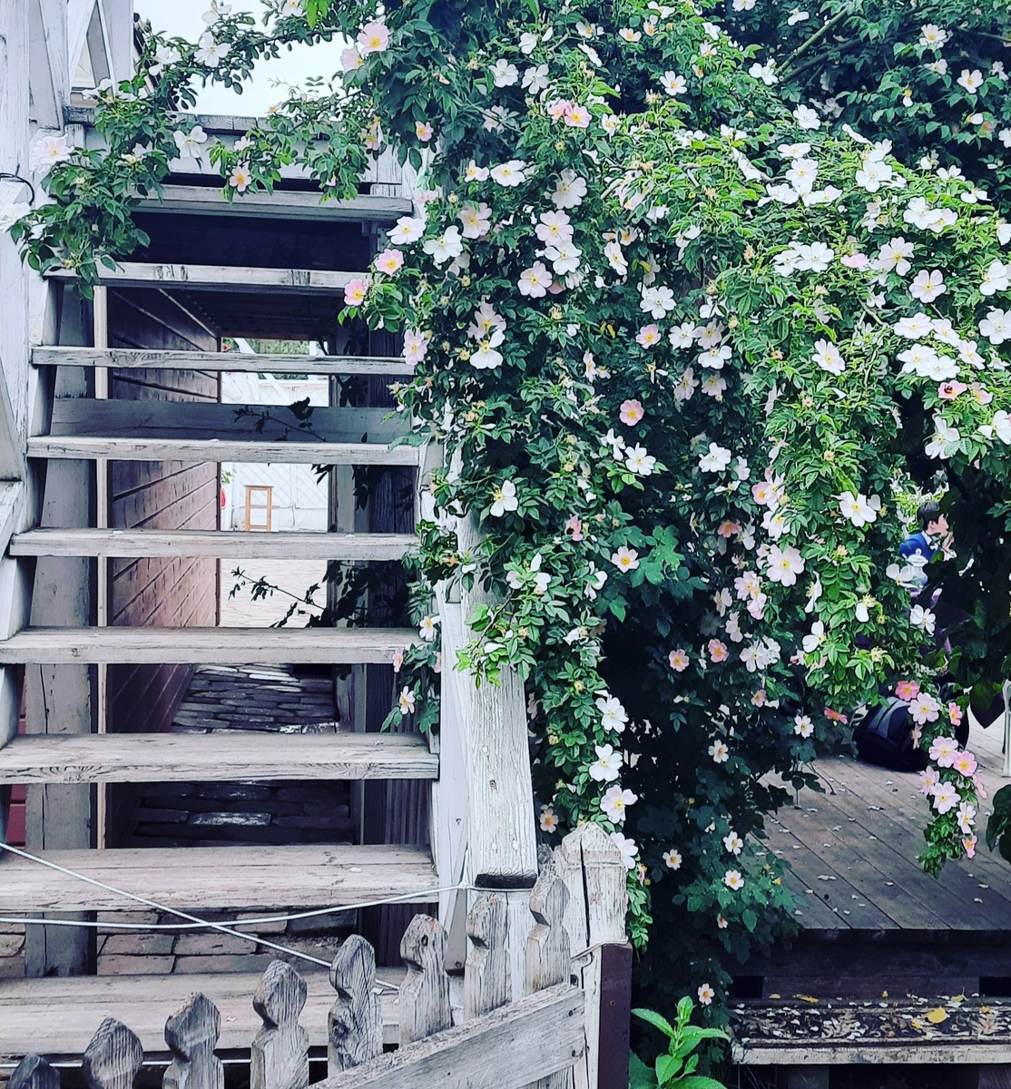 Коломна. Фото автора блога.