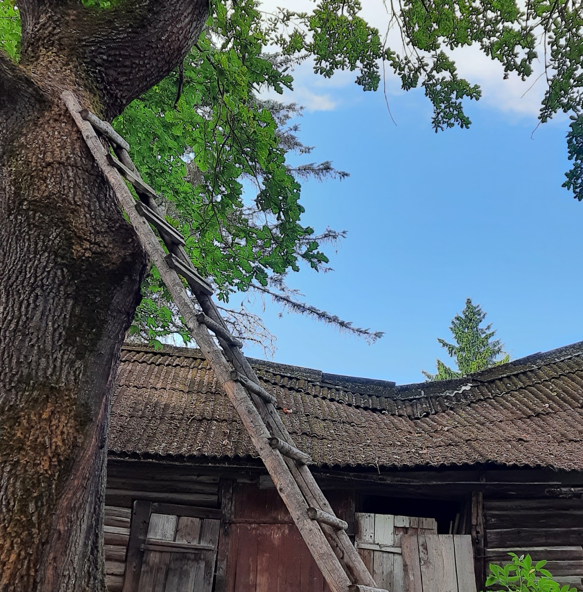 Таруса. Фото автора блога.