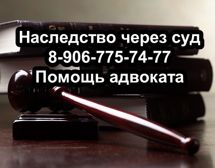 Наследство сожителя через суд