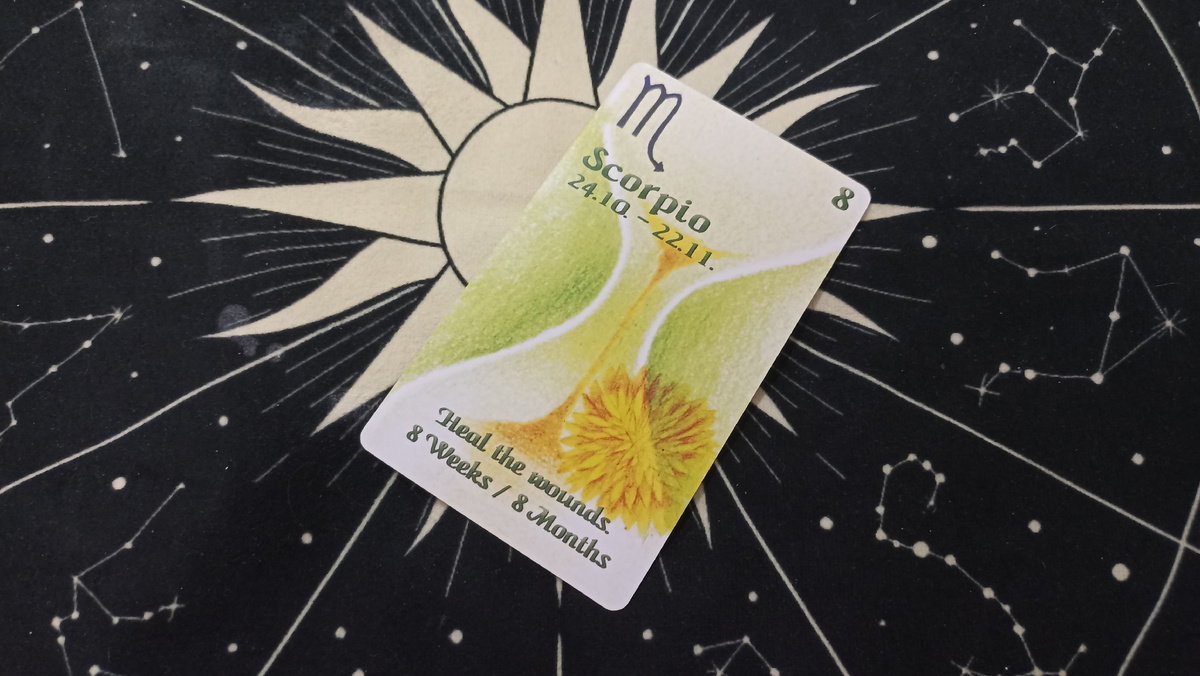 Расклад на Оракуле на тему: Когда он/она появится/даст о себе знать? 