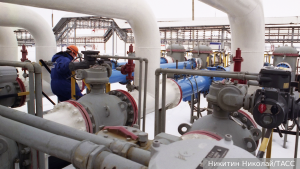     Фото: Никитин Николай/ТАСС   
 Текст: Валерия Городецкая