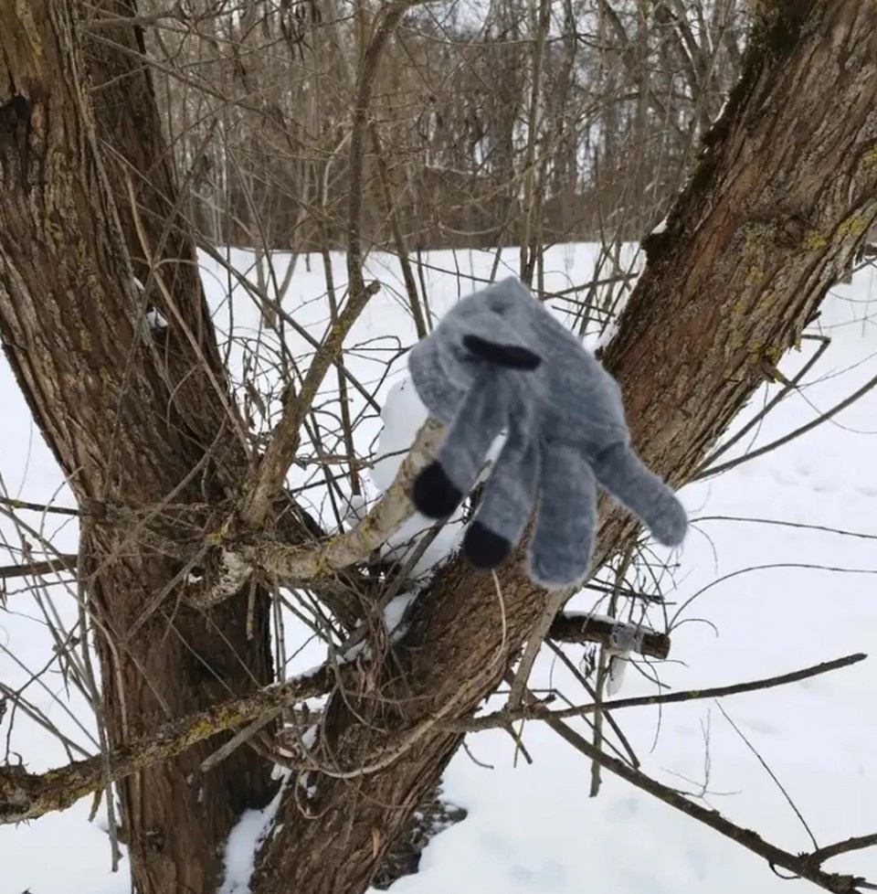    Детскую перчатку нашли у озера, где гуляла Саша с собакой. Фото: соцсети
