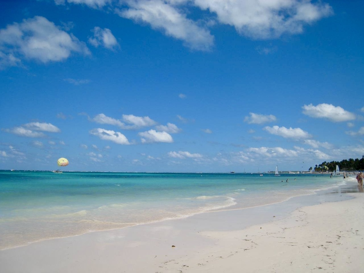 Фото сделано автором 