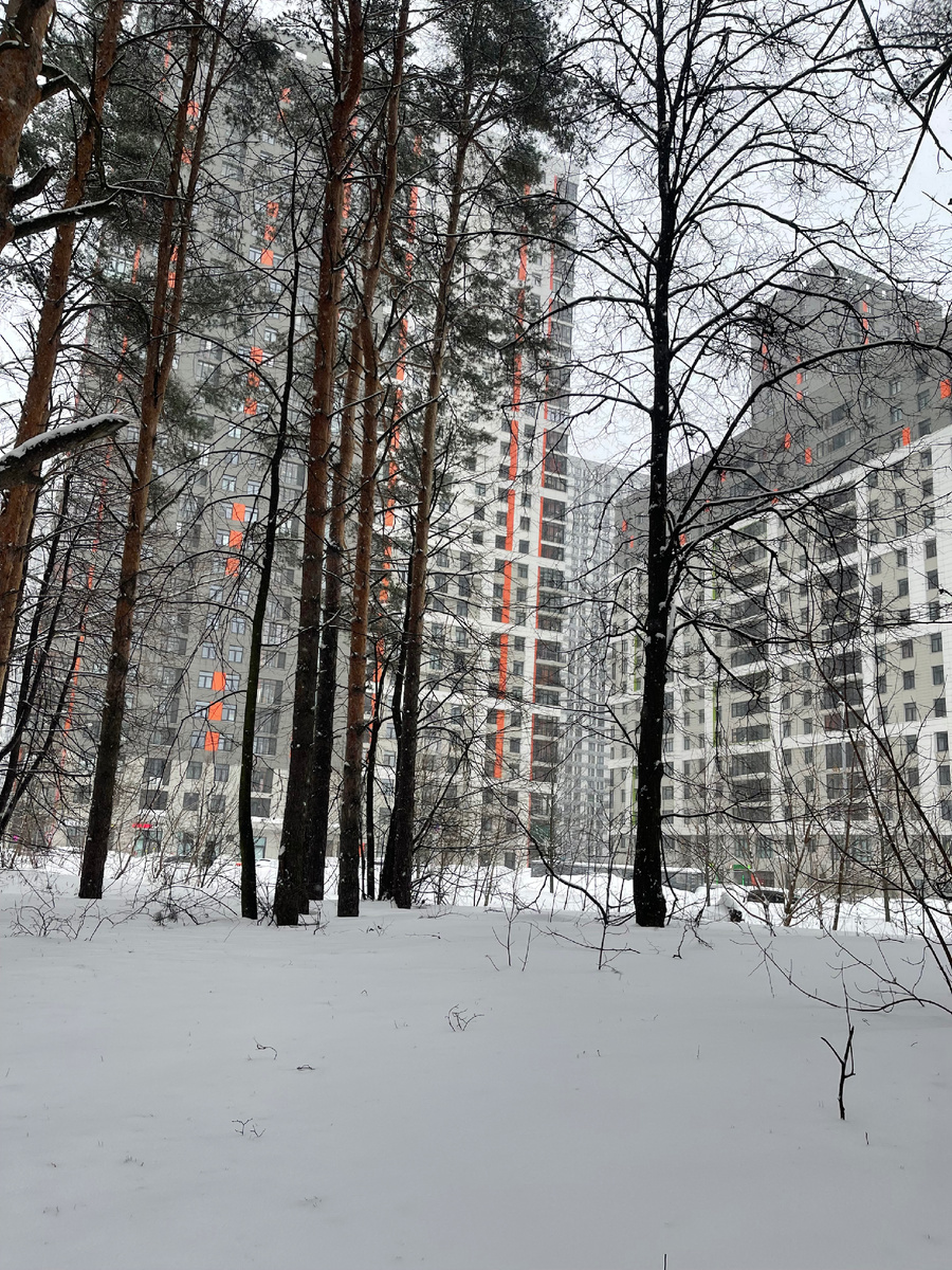 Зима в Москве 