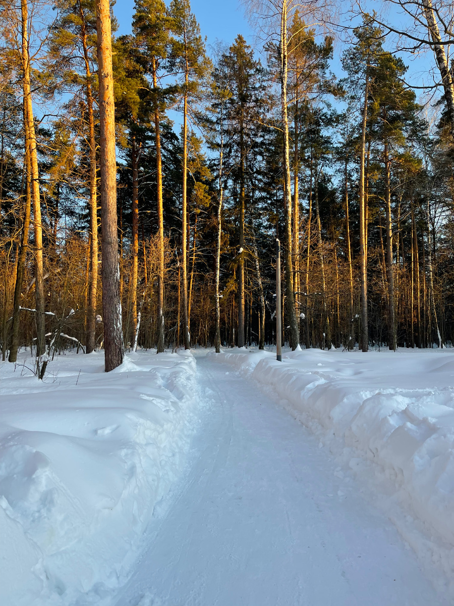 Парк в Москве 21 февраля 