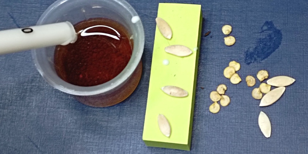 Назову топ 5 средств которые действительно работают и делают рассаду крепкой как дуб. Будете сажать томаты или перец в марте - пользуйтесь!