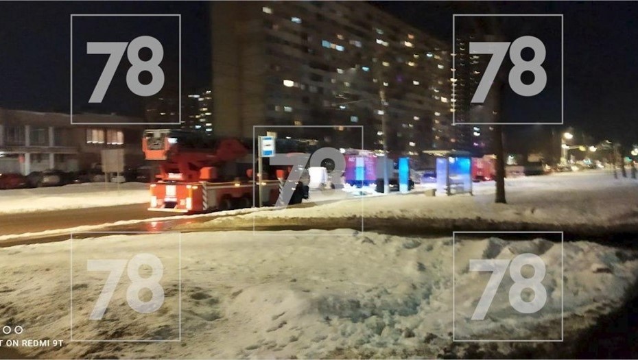    Автор фото: 78.ru