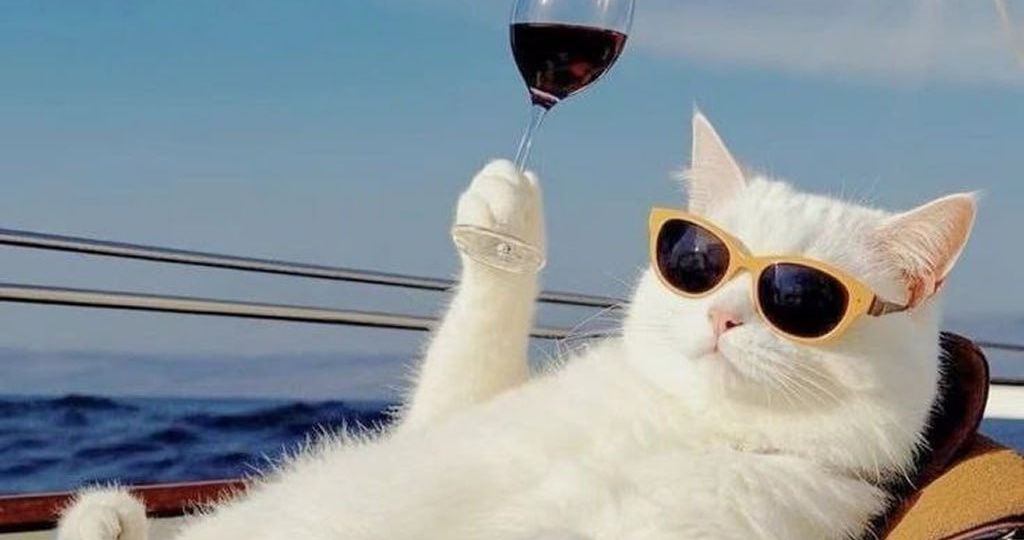 +15 дней на исполнение мечты