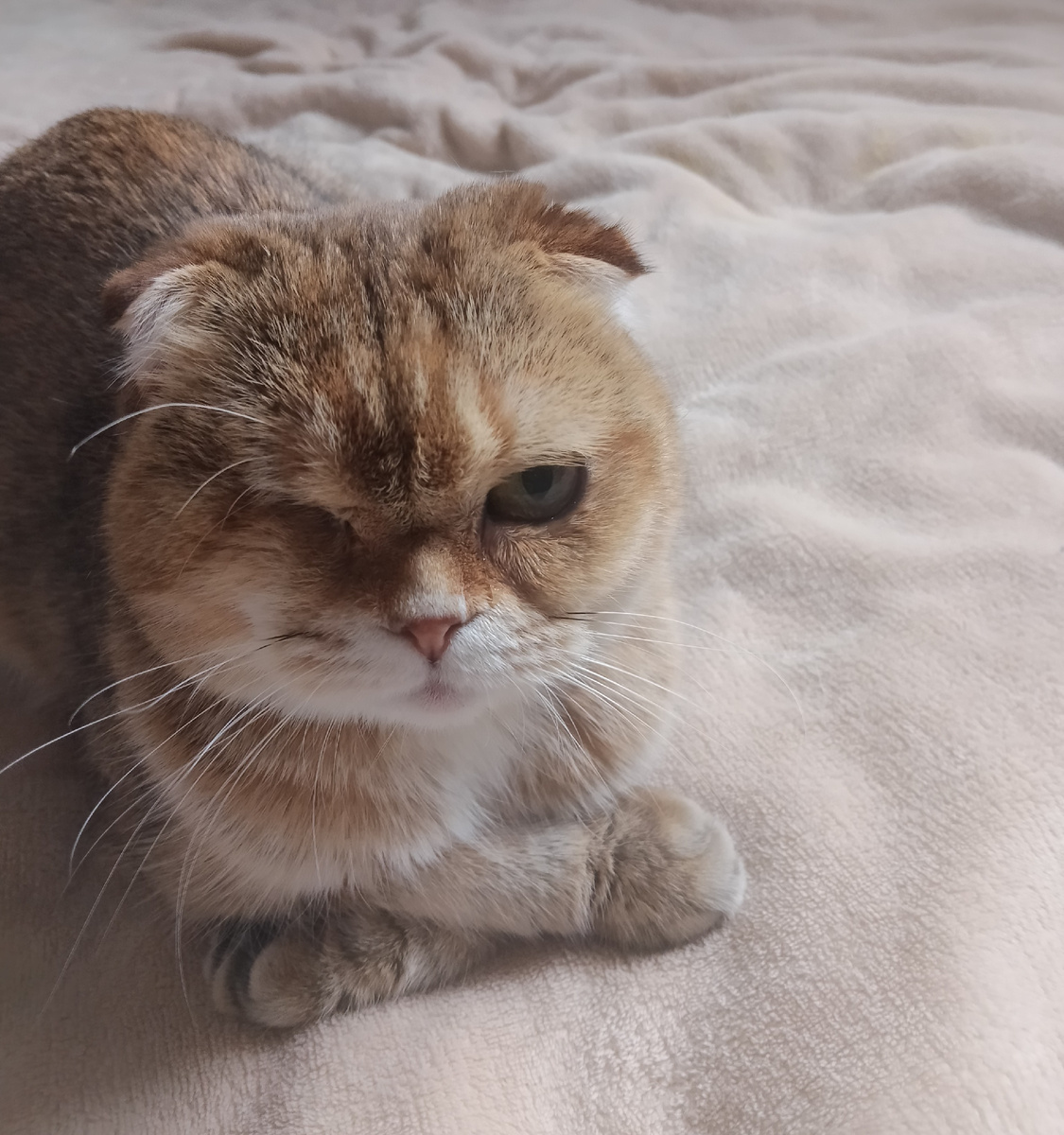 Вот так вот, Наташа, теперь всё  у нас будет строго по правилам. И попрошу не нарушать! 