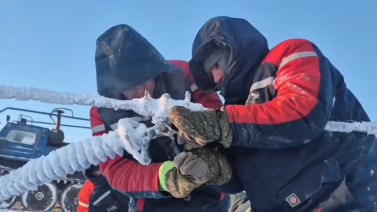    В Мурманской области наградили участников ликвидации аварии на ЛЭП