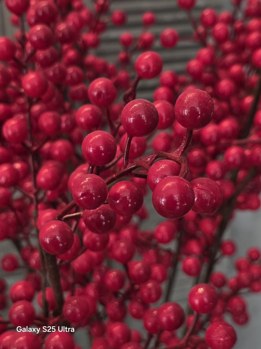 Фото X (KaroulSahil)  📷
