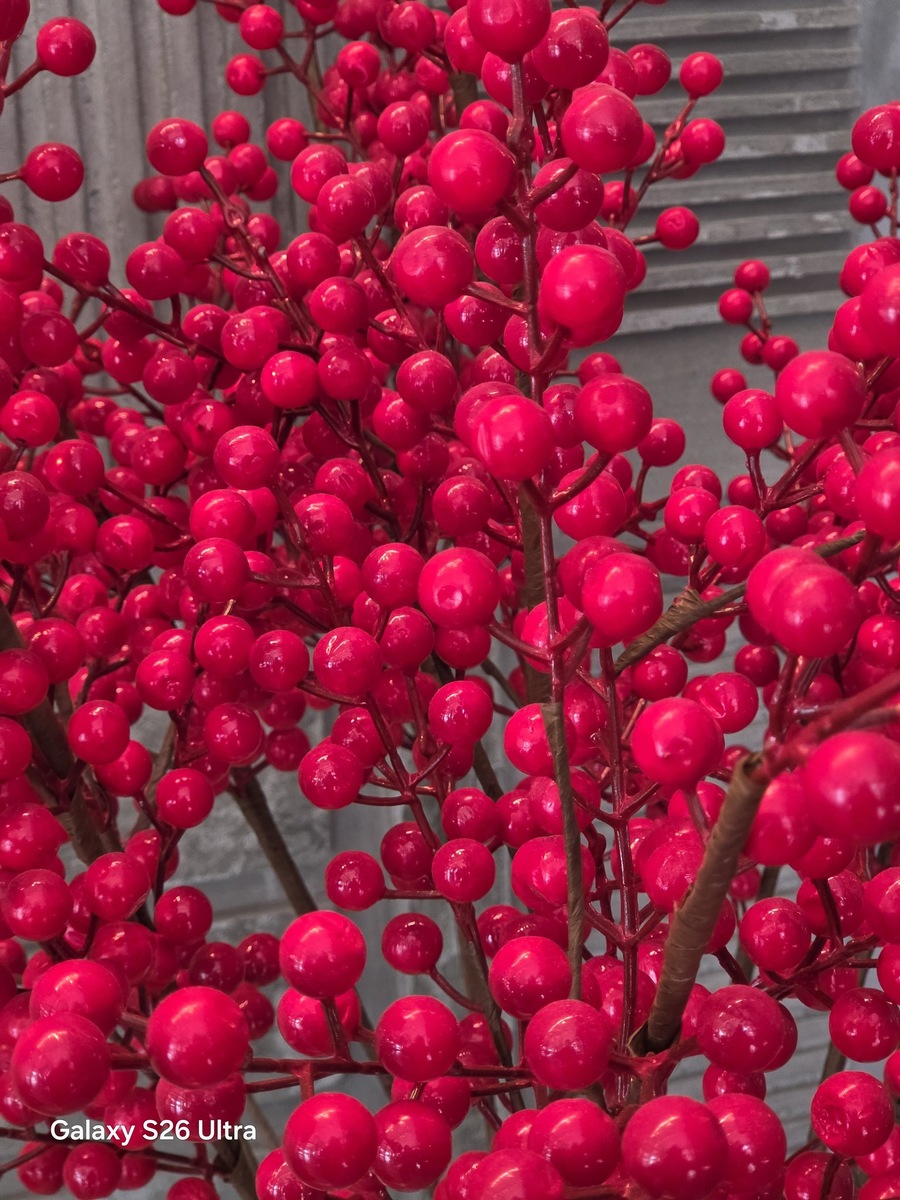 Фото X (KaroulSahil)  📷
