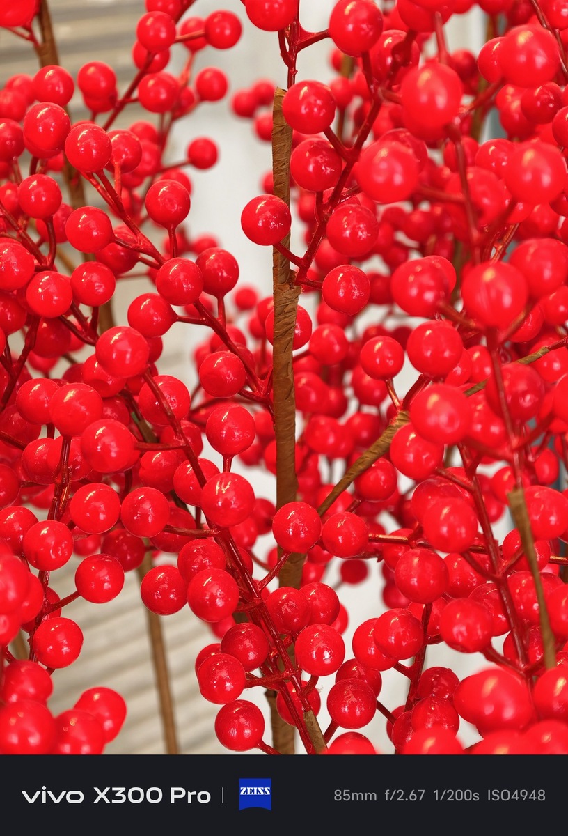 Фото X (KaroulSahil)  📷
