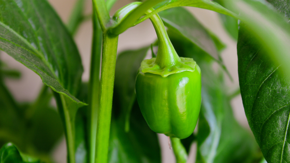 ООО «СДК»📷
