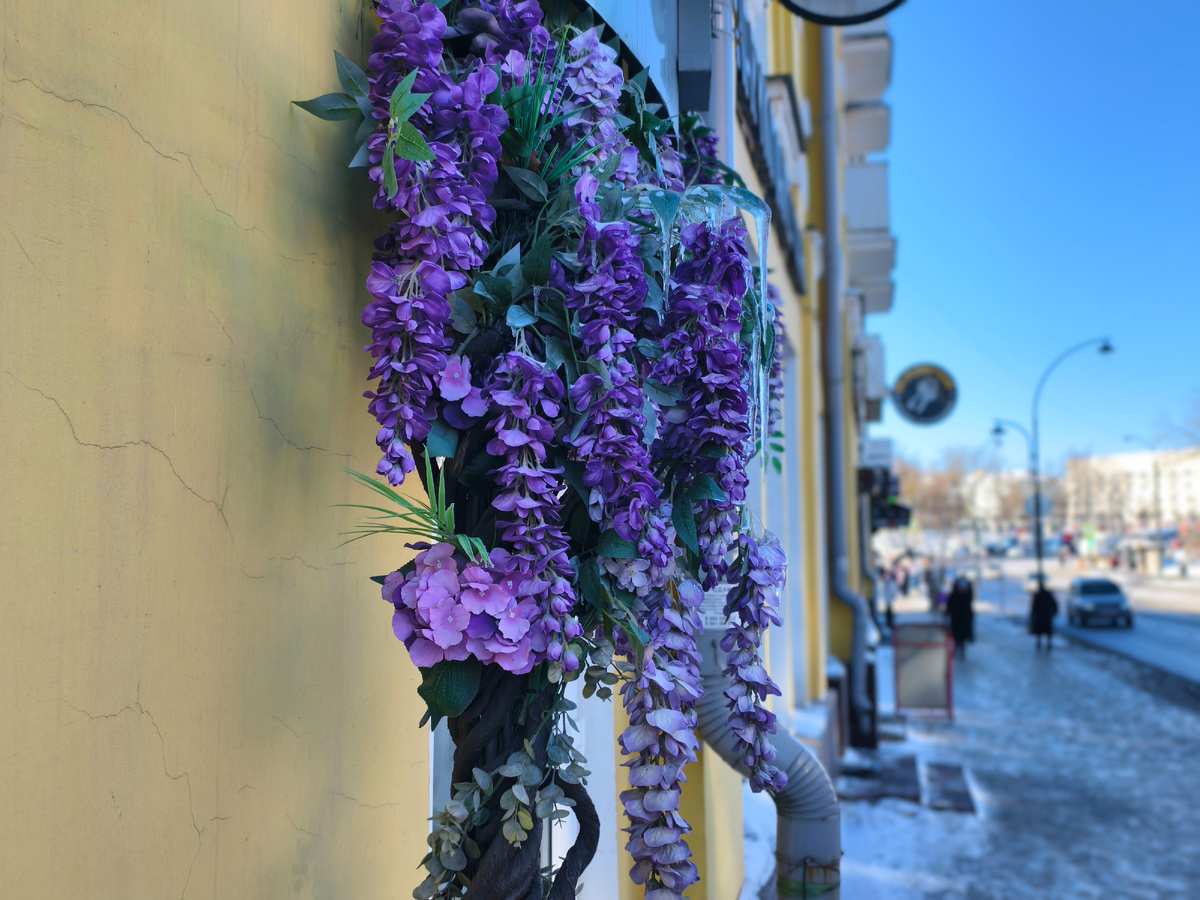 Зимняя улица